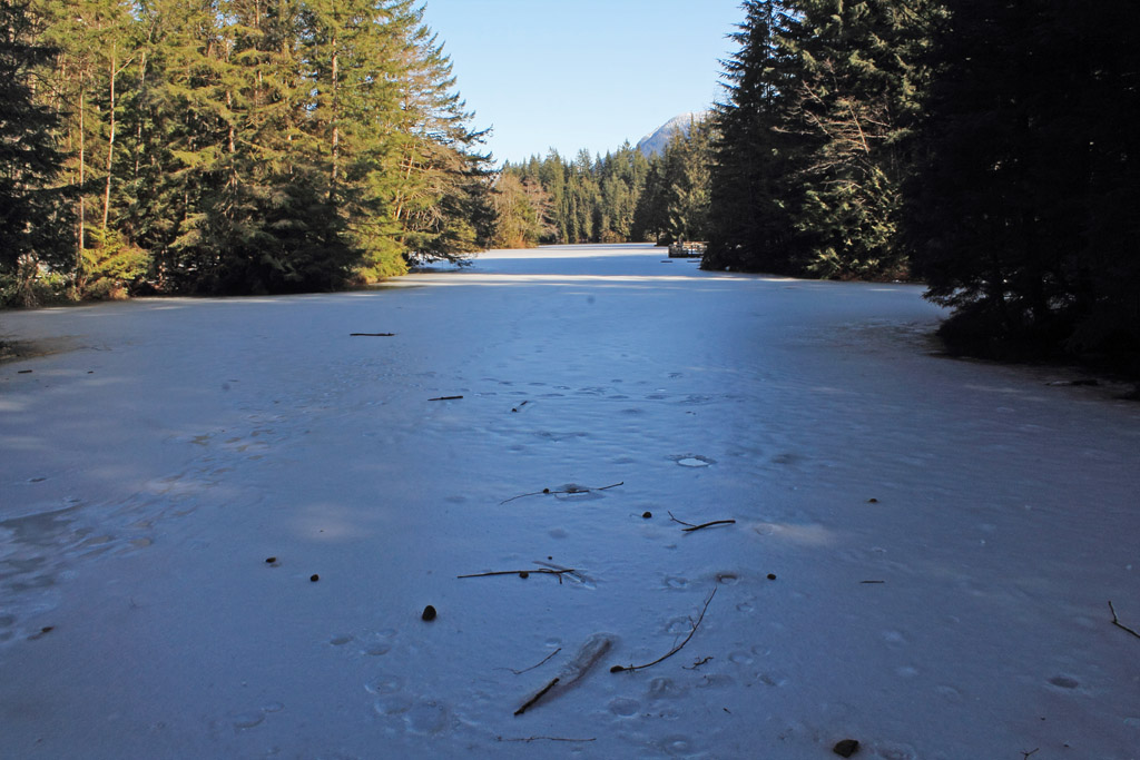 Rice Lake - frozen